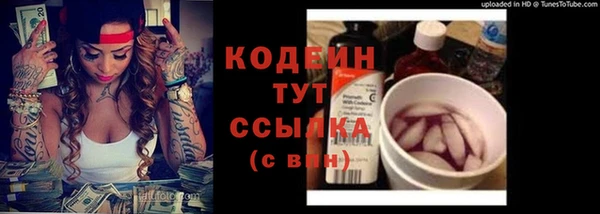 крисы Инсар