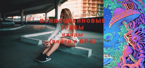 крисы Инсар