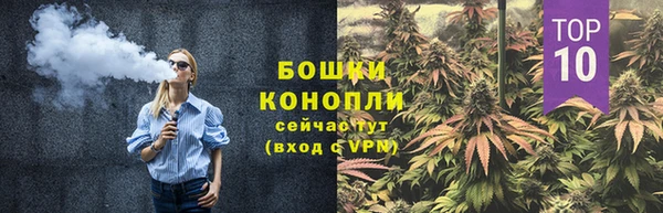 apvp Инта