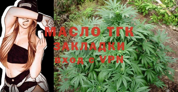 крисы Инсар
