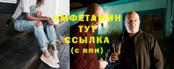 крисы Инсар